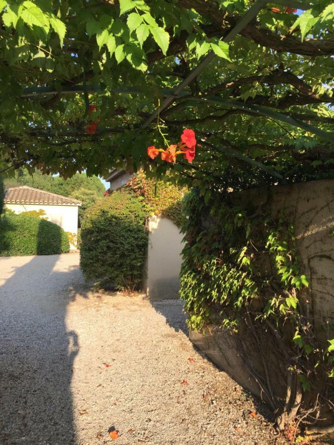 Le Mazet De Lola Villa Saint-Rémy-de-Provence Buitenkant foto